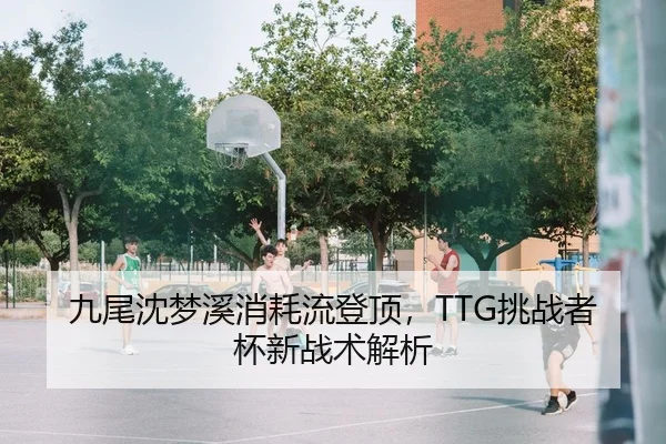 九尾沈梦溪消耗流登顶，TTG挑战者杯新战术解析